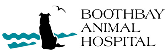 Link to Homepage of Boothbay Animal Hospital