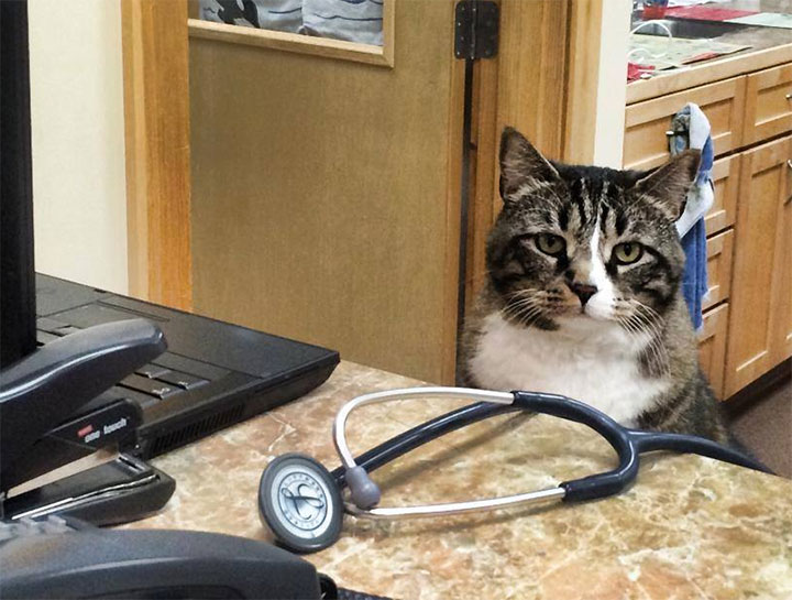 Diagnostics